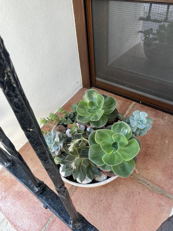 Vila La Casita Del Fresnillo Benalauría Exteriér fotografie